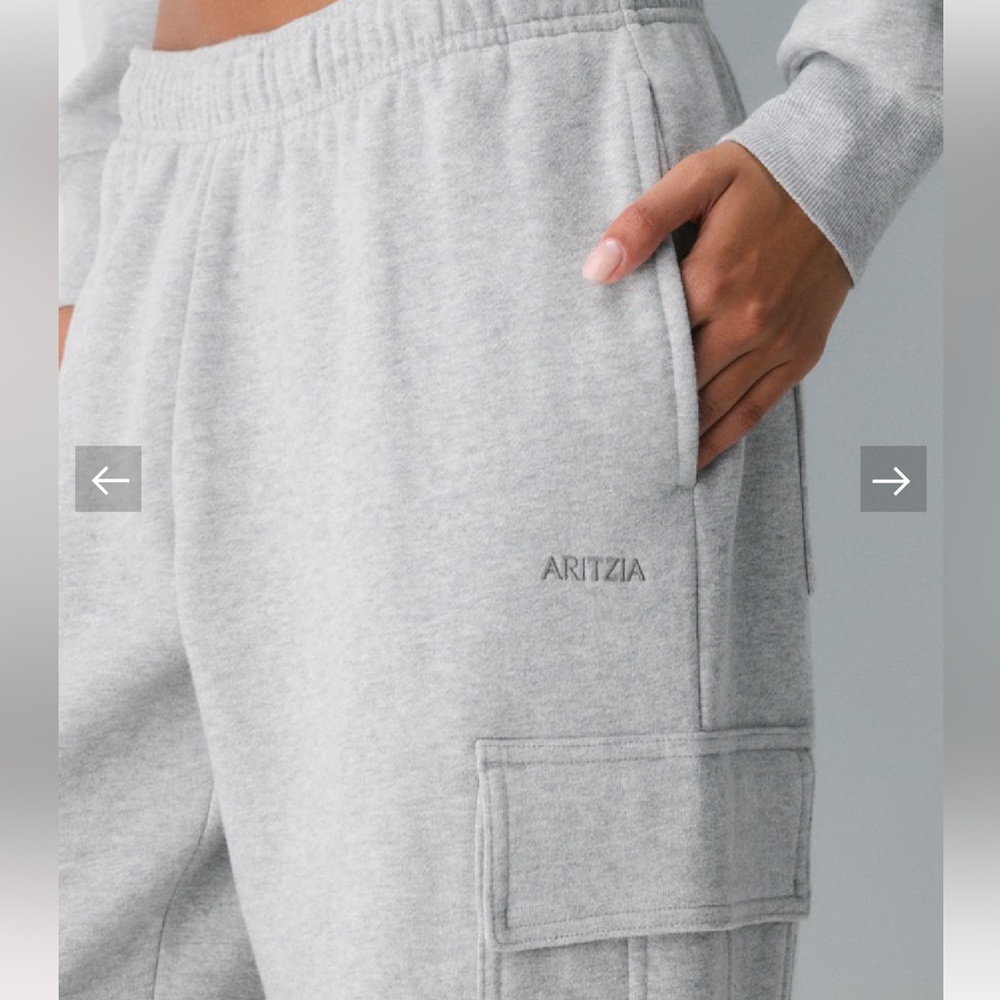 Aritzia Sweatfleece Light Gray cargo Joggers